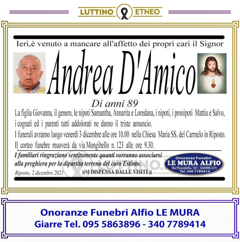 Andrea  D'Amico 